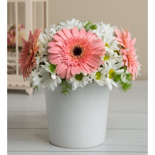 Pembe Gerbera ve Papatyalar