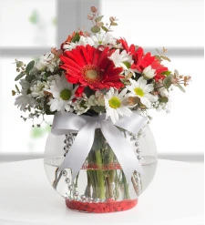 Kelebek Aşkı Papatya ve Gerbera Aranjmanı