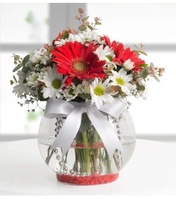 Kelebek Aşkı Papatya ve Gerbera Aranjmanı