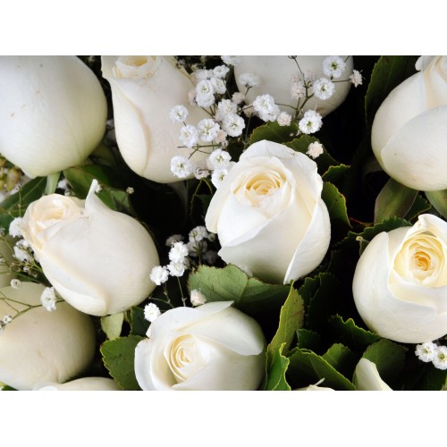 Yakamoz 19 Beyaz Gül Çiçek Arajmanı